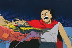 95988_normal_akira15.jpg