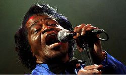 107246_normal_56380_james_brown_relikviak.jpg