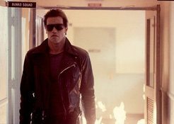 132192_normal_terminator.jpg