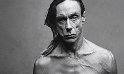 138357_normal_65980_iggy_pop_dzsesszlemez1.jpg