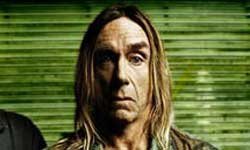 146521_normal_68875_iggy_pop_the_stooges1.jpg