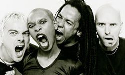 153269_normal_71516_skunk_anansie1.jpg