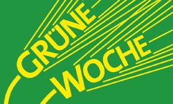 gronewoche_logo_x.jpg