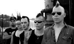 167449_normal_76699_kmfdm1.jpg