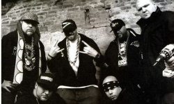 167678_normal_76800_lacokanostra1.jpg