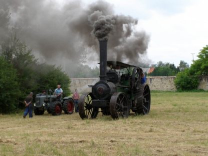 keszthely_georgikonmajormuzeum_fowler-felegozeke.jpg