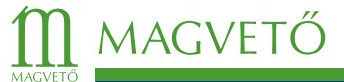 magveto_logo.jpg