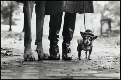 elliott_erwitt.jpg