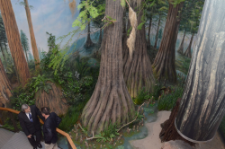 /archive/upload/2013/11/dsc_4996_250x250.png dsc_4996_250x250.png