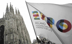 milano_01_250x250.png