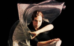 flamenco1_250x250.png