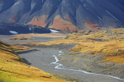 alaszka_denali_nemzeti_park1_600x399.png