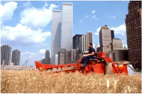 agnes_denes_wheatfield2_600x399.png