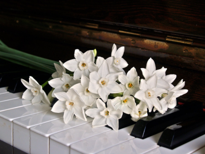 piano_1398069_960_720_600x450.png