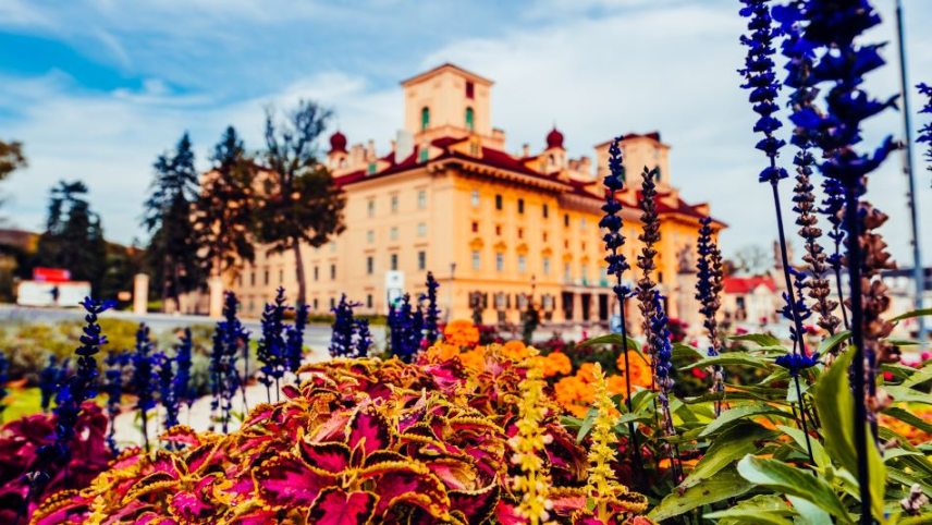 Schloss-Esterházy-Herbstfoto-r.jpg