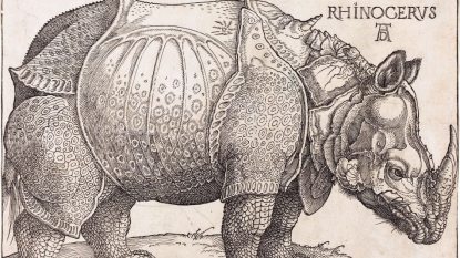 The_Rhinoceros-R.jpg