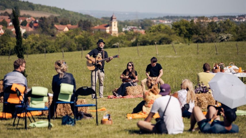 Szelávi-piknik-borito-HN_014.jpg