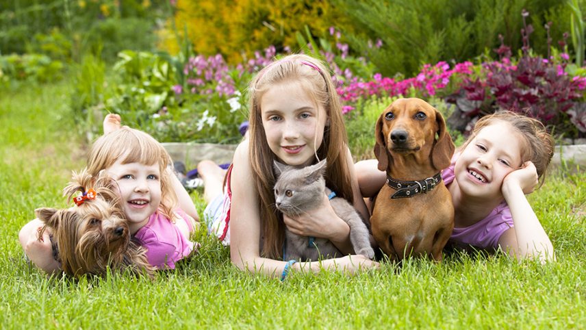 shutterstock_78199102-little-girls-cat-dog-c-Liliya-Kulianionak.jpg