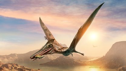 shutterstock_1139237801-pterosaur-3D-c-Warpaint-950.jpg