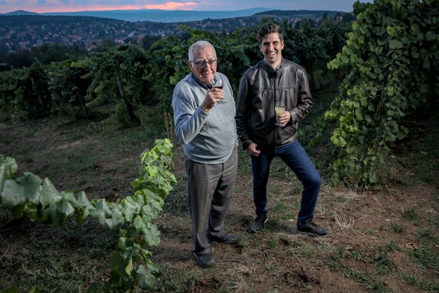 Jani papa pincéje - Pilisborosjenő - 2020 szeptember 30