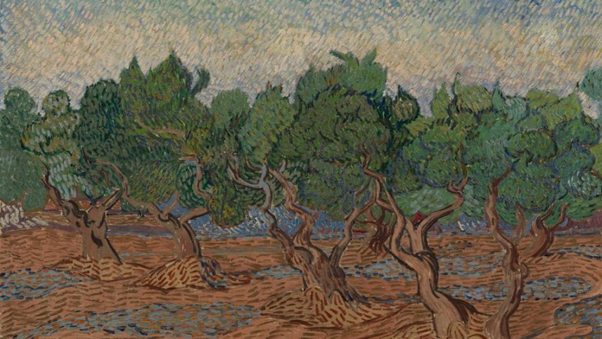 Vincent-van-Gogh-1853-1890-Saint-Rémy-de-Provence-November-December-1889-c-Van-Gogh-Museum-950.jpg