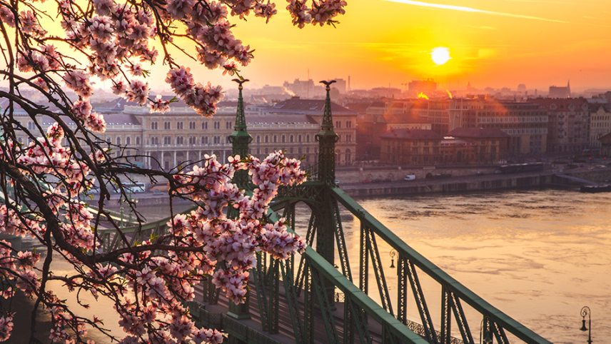 shutterstock_1350530624-Budapest-Szabadság-híd-c-Jane-Biriukova-950.jpg