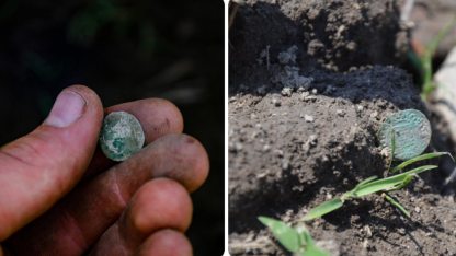 Több-mint-400-ezüstpénzt-találtak-a-Temes-megyei-Gavosdián-c-Főtér.ro-950.jpg