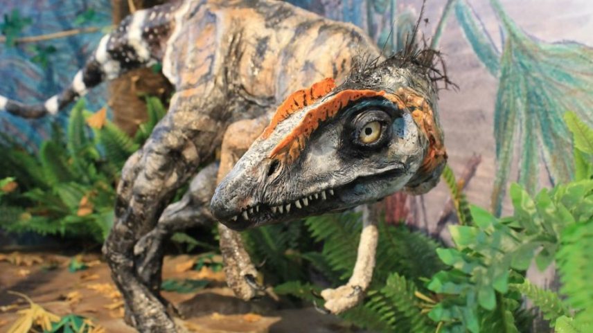 komlosaurus-R.jpg