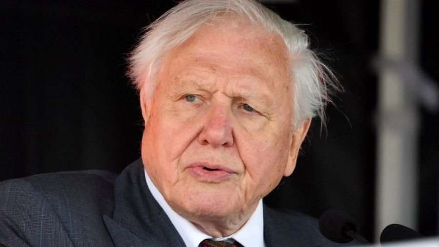 David-Attenborough-AFP-R.jpg