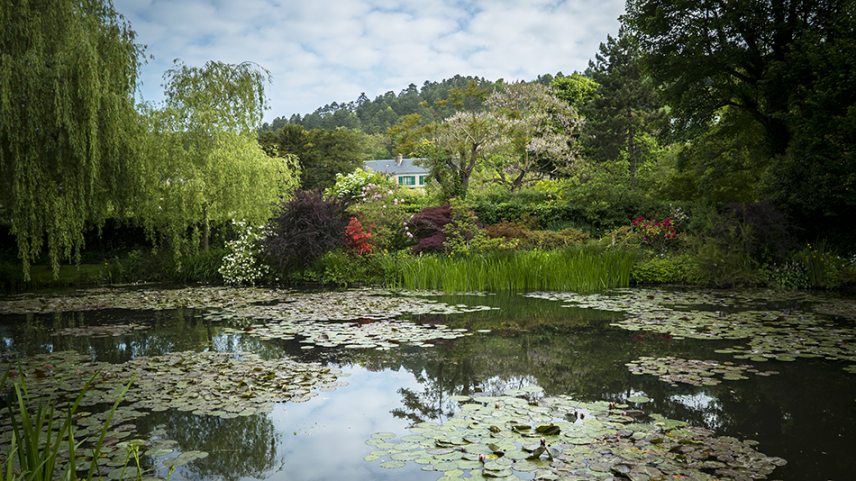 Monet-kertje-Giverny-NYITO-EXHIBITION-ON-SCREEN-David-Bickerstaff.jpg