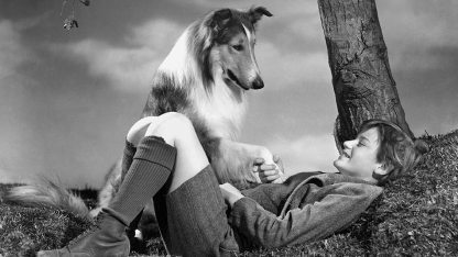 Lassie-hazatér-AFP.jpg