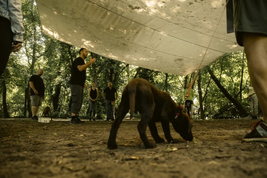 Korom-Gabor_suli_02_CZ Fotók: Kurucz Árpád