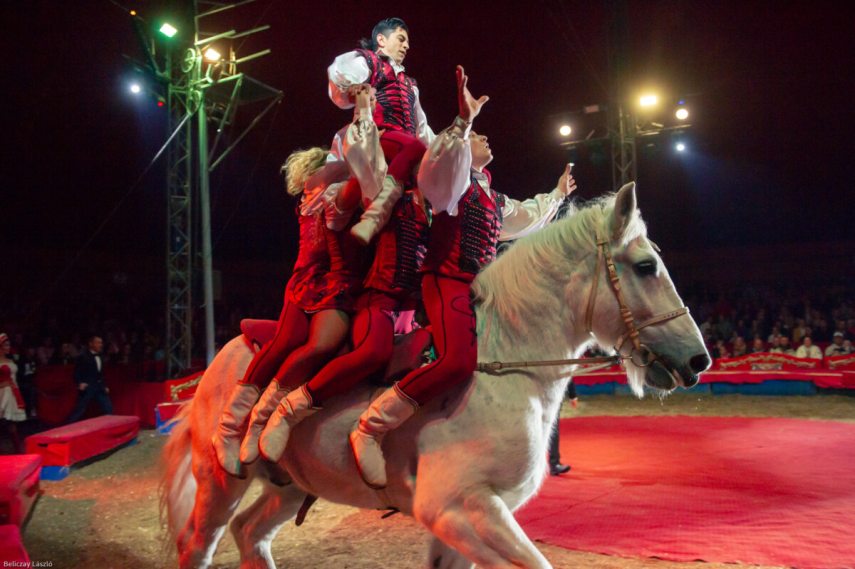 Ifj Richter József, Magyar Nemzeti Cirkusz.