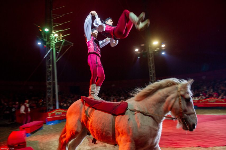 Ifj Richter József, Magyar Nemzeti Cirkusz.