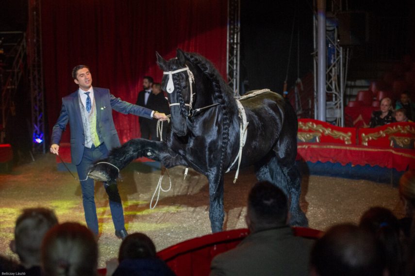 Ifj Richter József, Magyar Nemzeti Cirkusz.