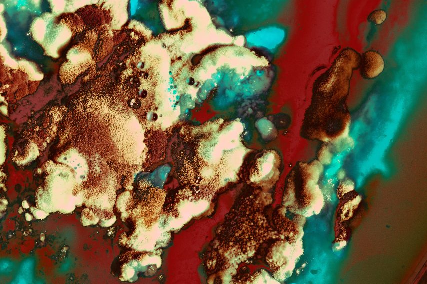 Bánki Sarolta Ishiki.jpg