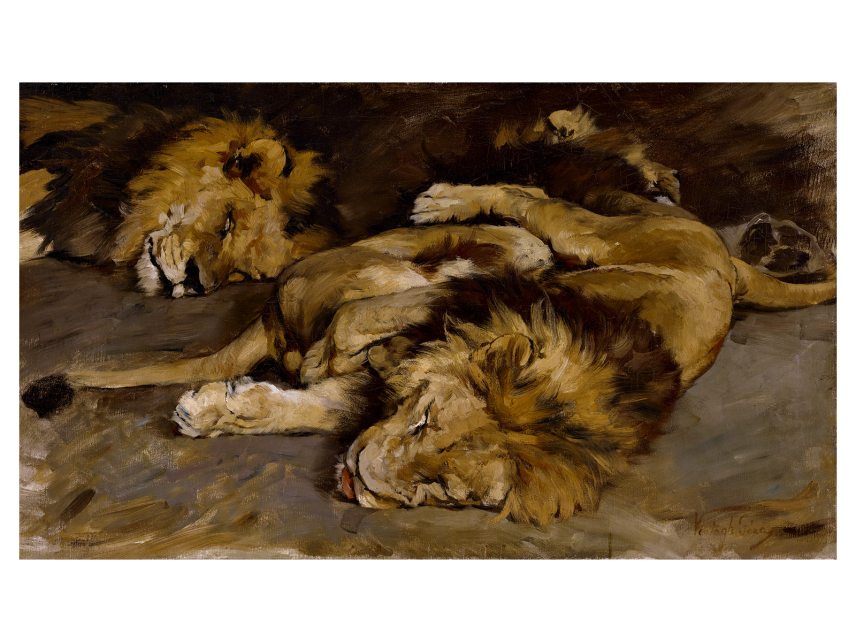Vastagh Géza - Pihenő oroszlánok.jpg