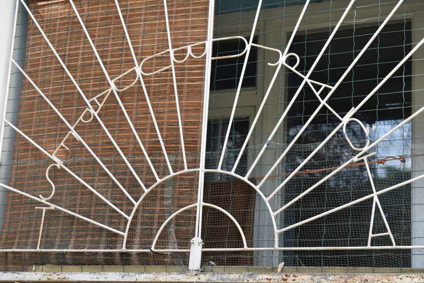 DSC_6374 Budapest100 20240515.BK.JPG