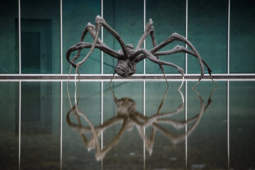 A picture taken on May 5, 2022 shows "Crouching Spider" by French artist Louise Bourgeois presented at the Art Center of Chateau la Coste, designed by architect Tadao Ando at Le Puy-Sainte Reparade, southeastern France.
CLEMENT MAHOUDEAU / AFP