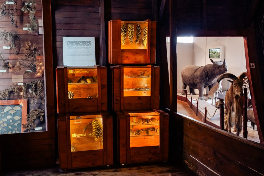 Magyar Természettudományi múzeum