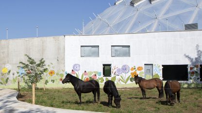 Megnyíltak a Biodóm szabadtéri kifutói a fővárosi állatkertben MTI.jpg