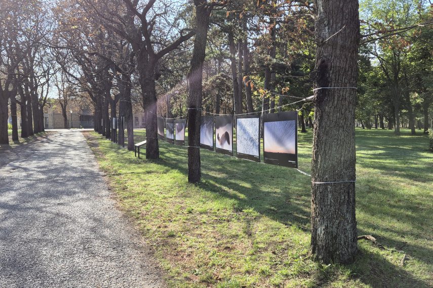 A Fotokozma kiállítás a csákvári Esterházy-kastély parkjában. Fotó: Fotokozma