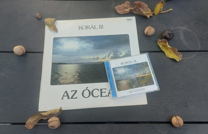 Korál: Az óceán