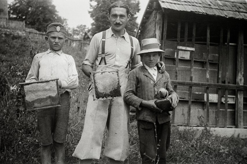 Méhészkedés, méhészet, méh. Méhészkedés a 1930-as években. Fotó: Fortepan / Rothman család