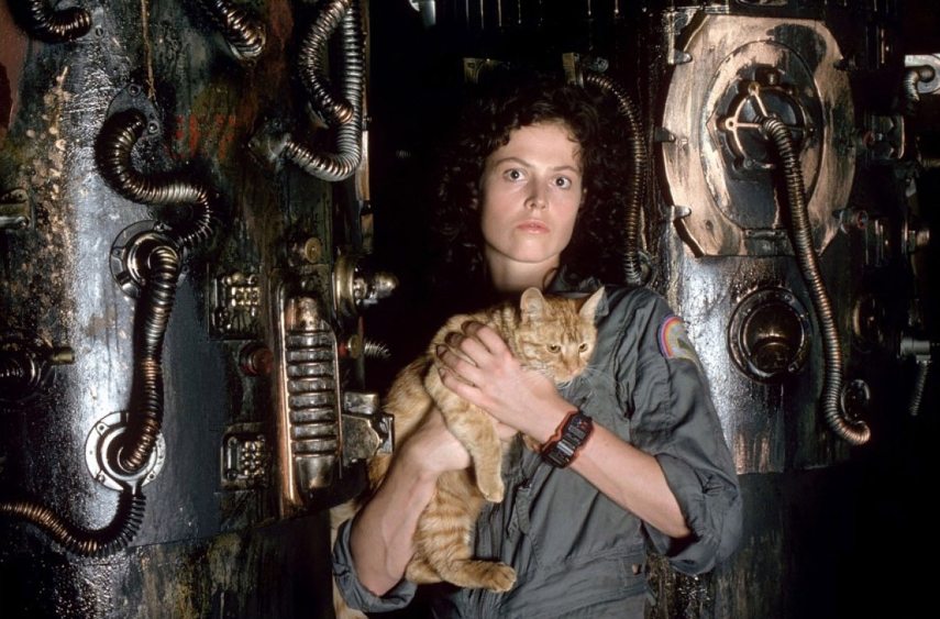 Alien Le 8eme passager
Alien
1979
Real  Ridley Scott
Sigourney Weaver.
COLLECTION CHRISTOPHEL ©  Brandywine Productions / Twentieth Century Fox Productions (Photo by Brandywine Productions / Twentie / Collection Christophel / Collection ChristopheL via AFP)