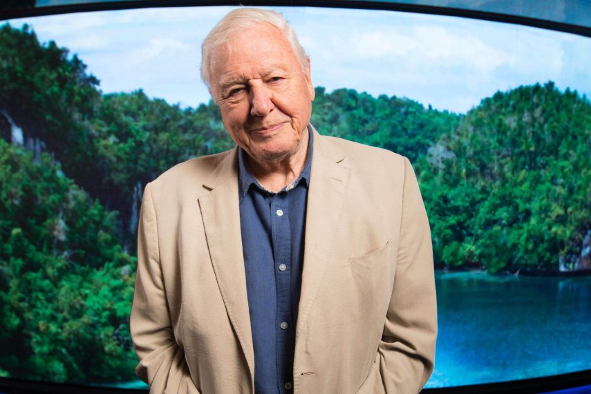 EMBARGOED TO 0001 WEDNESDAY SEPTEMBER 30 File photo dated 7/10/2019 of Sir David Attenborough. Countries are being urged to commit hundreds of billions of pounds in funding to protect nature in a global campaign backed by Sir David. Conservation organisation Fauna and Flora International (FFI) is launching the Our One Home campaign, calling on governments and businesses to prioritise protection and restoration of nature and wildlife.,Image: 560471603, License: Rights-managed, Restrictions: FILE PHOTO, Model Release: no, Credit line: David Parry / PA Images / Profimedia