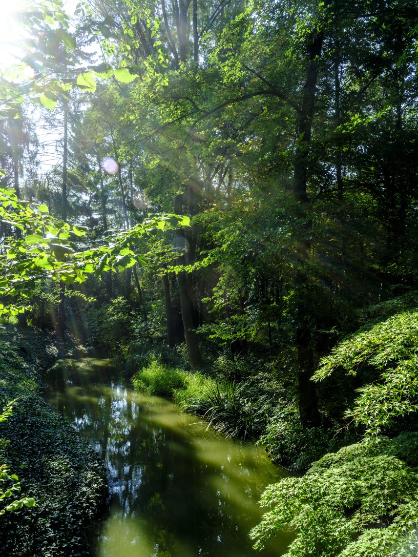 A botanikus kert. Fotó: Kurucz Árpád / Magyar Kultúra