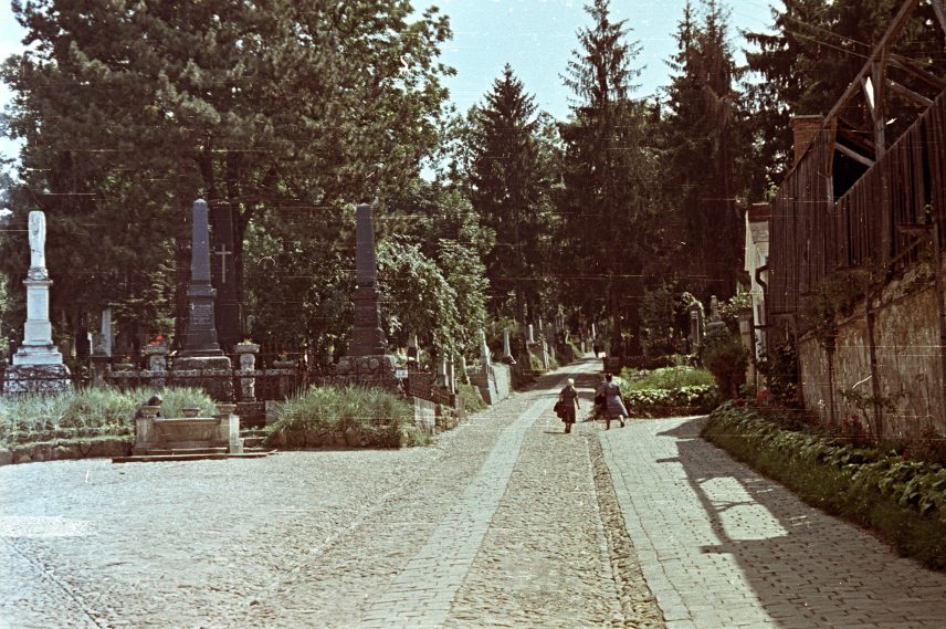 A Házsongárdi temető az 1950-es években. Fotó: Császy Alice / Fortepan