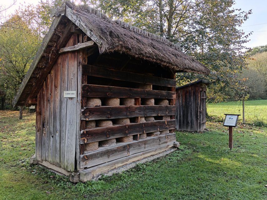 Méhes Zalalövőről. Fotó: Horváth Attila / Kultúra.hu