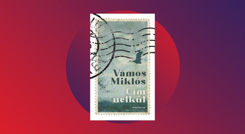 Vámos Miklós: Cím nélkül